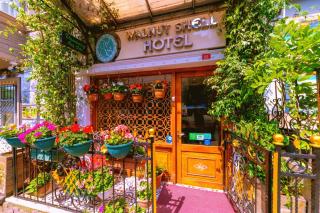 Walnut Shell Hotel - 8