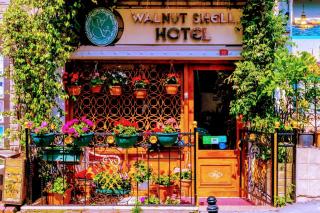 Walnut Shell Hotel - 2