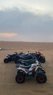 Essa camp in Wahiba Sands - 8