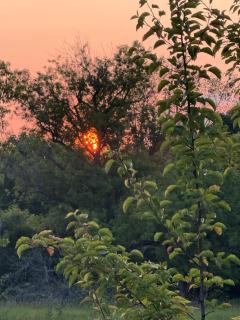 Fazenda Neuchatel - 5