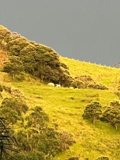 Fazenda Neuchatel - 2