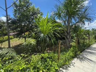 Emi House - 3