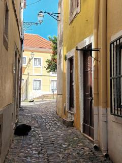 Mouraria Cozy & Charming apartment - 8