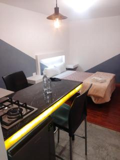 Hotel Business del Sur - El Gallinero - 0