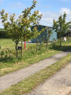 Ty Beti at Gorlan yr Efail Shepherds Hut with Private Hot Tub - Holyhead - 3