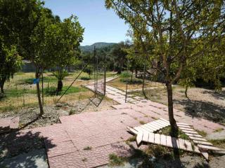 Costelia Studio - 8