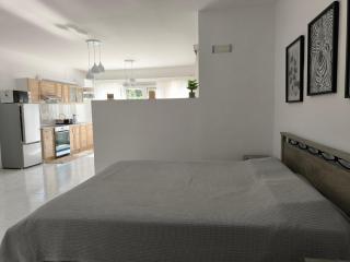 Costelia Studio - Ialyssos - 7