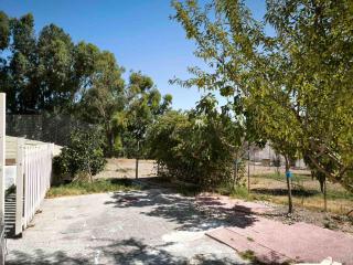 Costelia Studio - 5