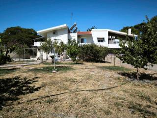 Costelia Studio - Ialyssos - 2