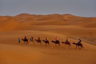 Mufasa Luxury Camp - 4