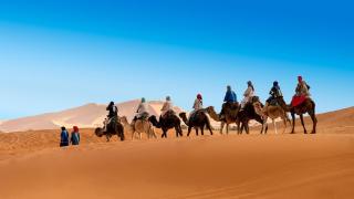 Mufasa Luxury Camp - 3