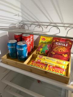 Stor leilighet nær flyplass, buss og natur - 3