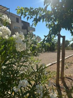 Appartement proche mer - 5