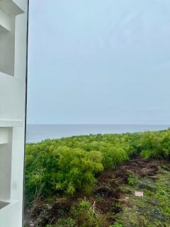 Driftwood Nook - 2