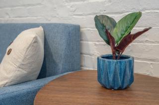 New 1 Bedroom Apartment Near Brewery - River - Downtown - 5