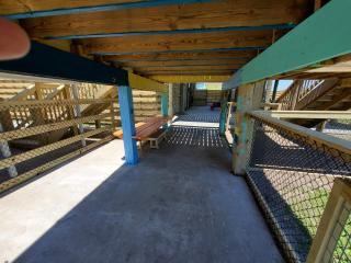 Irresistible local Fenced yard, pet &kid friendly - 5