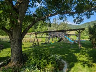 Bachbauer am Attersee - 4