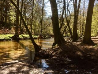 Kleiner Rasthof - 5
