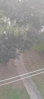 Apartman Karlou - 8