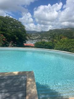 1 Bed Apt Port Louis Marina view - 4