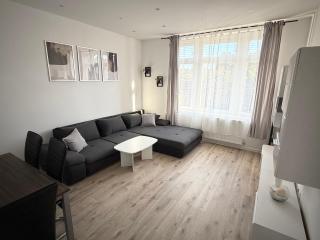 Ferienwohnung - schönes Heim Li-Apartments - 4