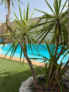 L'oasis, pretty villa in Marrakech heated pool -  - 9