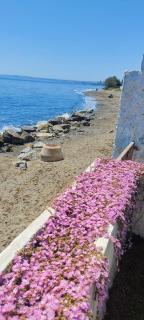 Beachhouse Don Quijote - 1