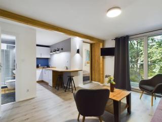 Apartamenty Dabrowka Standard - w lesie, prywatny parking, sauna, park - 9