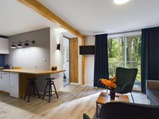 Apartamenty Dabrowka Standard - w lesie, prywatny parking, sauna, park - 4