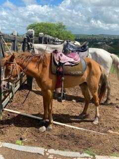 Flat no Condomínio Monte Castelo ao lado da área de lazer, Gravatá-PE - 6