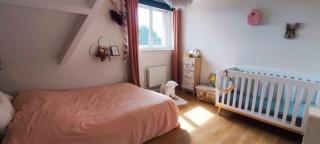 Tamaris, Villa avec très grand jardin - 2