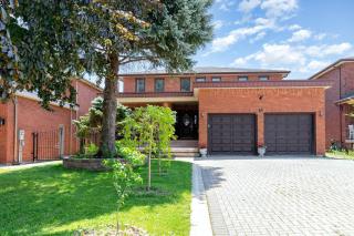 Cozy 1BR Lower Level Walking distance to shops - 7