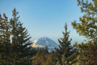 The Fox Summit House - 8