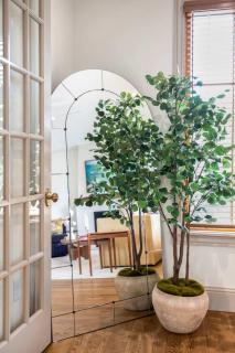 Park Springs Row- Walk to Downtown-Luxury Living - 1