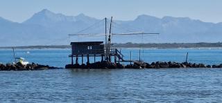 House Orilia in the green and by the sea - 6