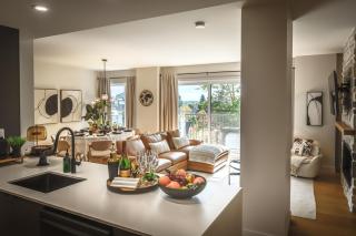 Luxe Alpine MSA - Ski Spa et Confort - 0