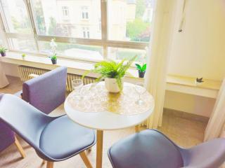 Bright Studio with outdoor balcony - 2