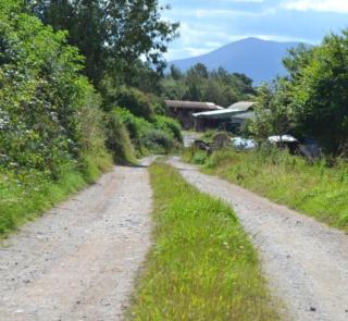 Annaswood Self Catering - 6