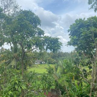 Ruwan Villa Ahangama - 5