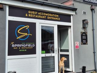 The Springfield Hotel - Fairbourne - 8