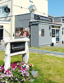 The Springfield Hotel - Fairbourne - 0