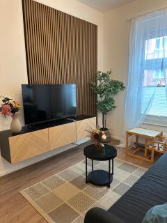 Altstadt Apartment beim Schlossgarten - 9