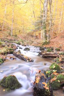 Fowo-Mangfalltal Erholung am Fluss Nähe München schnelle Anbindung zum Oktoberfest - 8