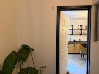 Condesa Modern Loft Chilaquil Spot - 9