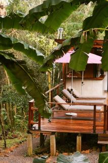 ANAVÁ casa en la selva - 5