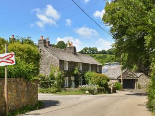 Hollyhocks Cottage - 8