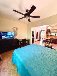 Tiny Paradise Ground Floor Studio - 6