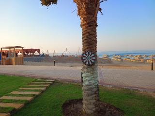 Oyster Bay Beach suits - Marsa Alam - 3