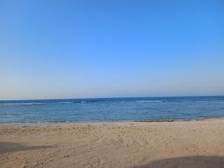 Oyster Bay Beach suits - 1