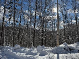 The Perch - 6
